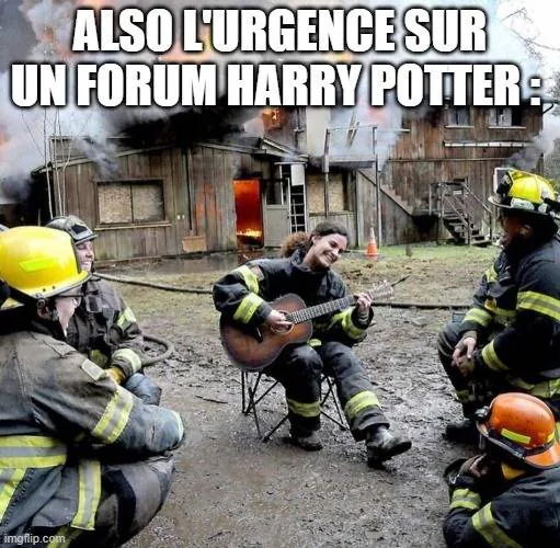 Image postée par le membre