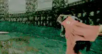 Image postée par le membre