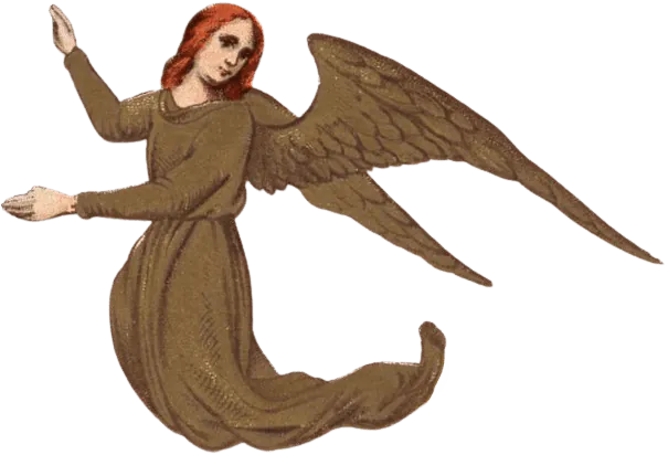 Image postée par le membre