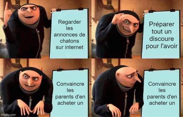 Image postée par le membre