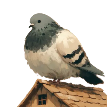pigeon