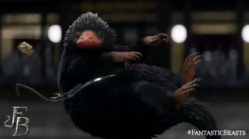 Image postée par le membre