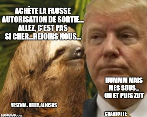 Image postée par le membre