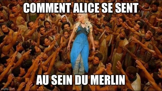 Image postée par le membre