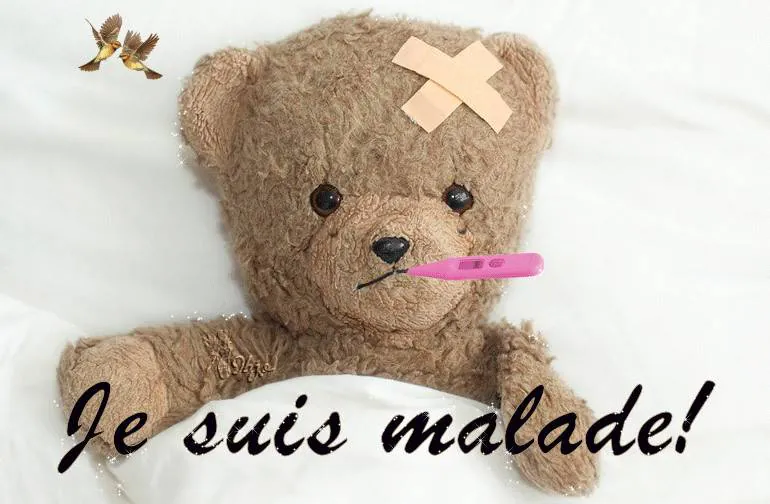 Image postée par le membre