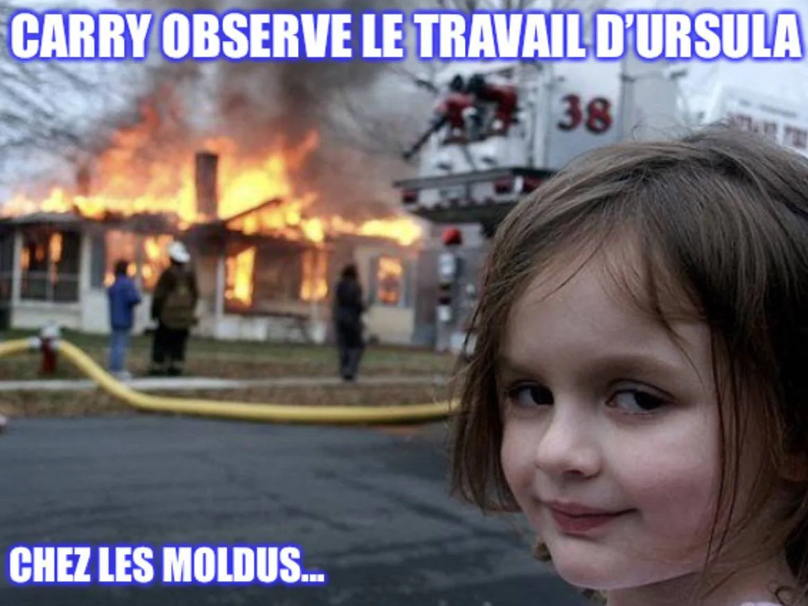 Image postée par le membre