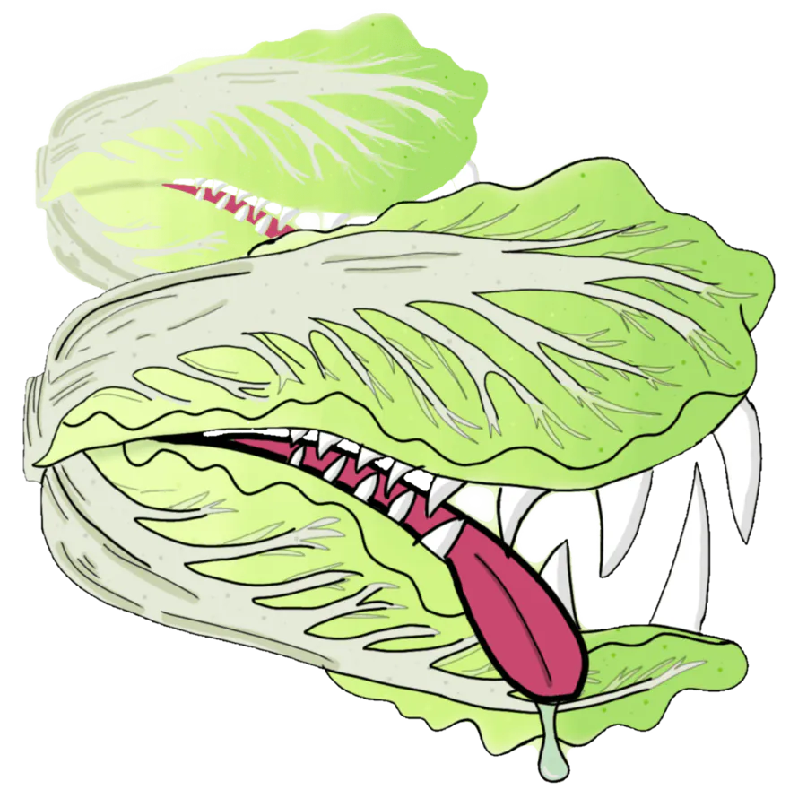 Image postée par le membre
