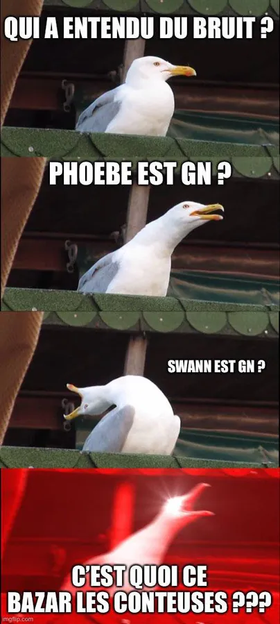 Image postée par le membre