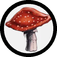 Image postée par le membre