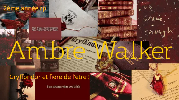 Image postée par le membre
