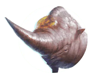 Image postée par le membre