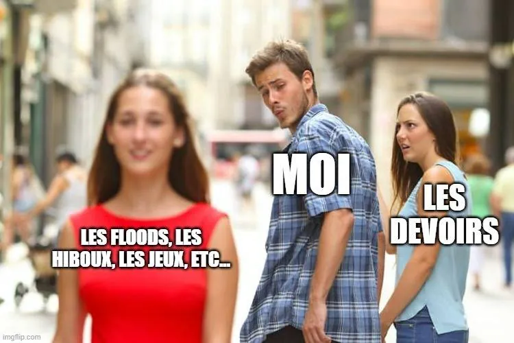 Image postée par le membre