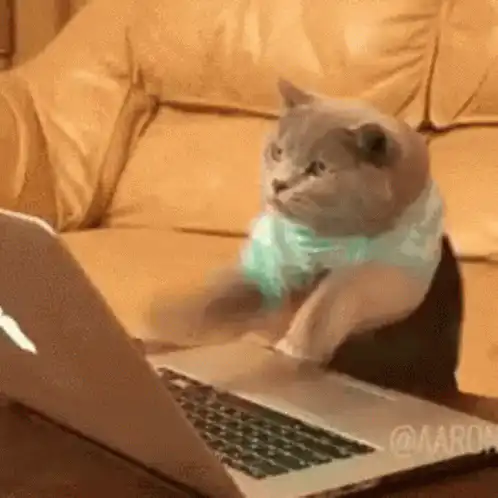 Image postée par le membre