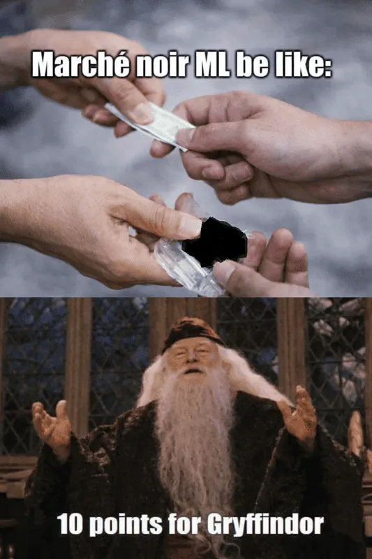 Image postée par le membre