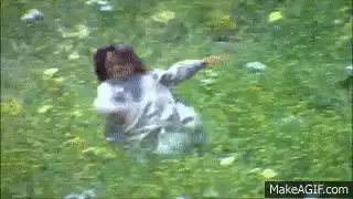 Image postée par le membre