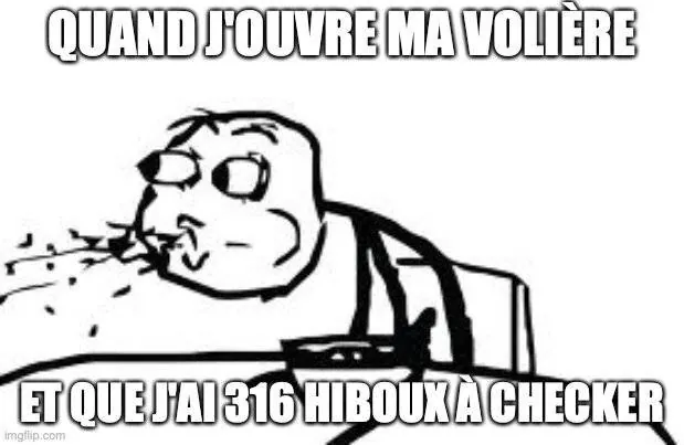 Image postée par le membre