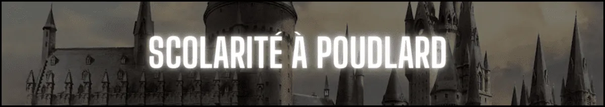 Image postée par le membre