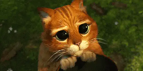 Image postée par le membre