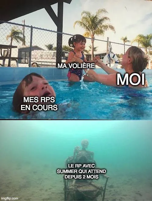 Image postée par le membre