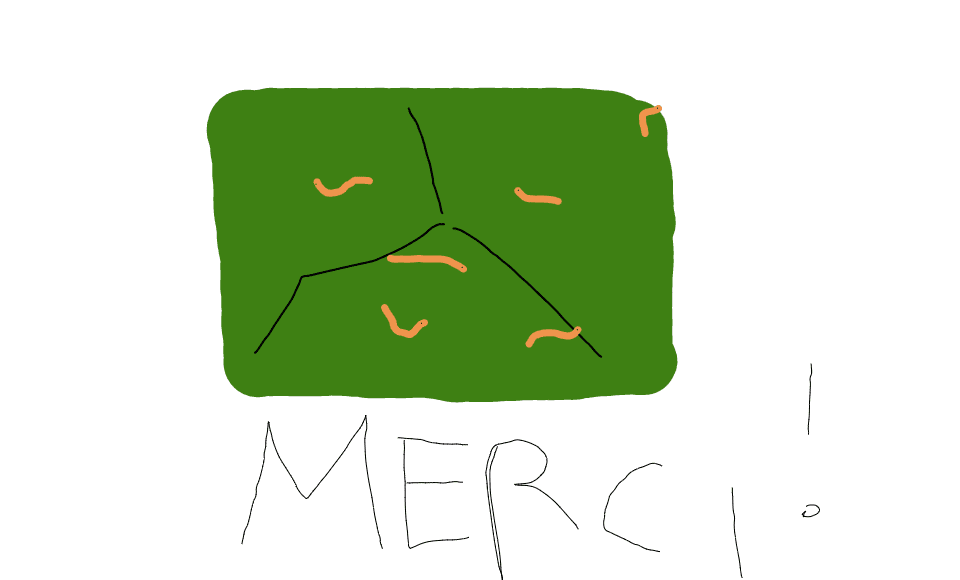 Image postée par le membre