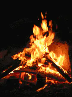 Image postée par le membre