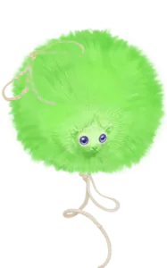 Image postée par le membre
