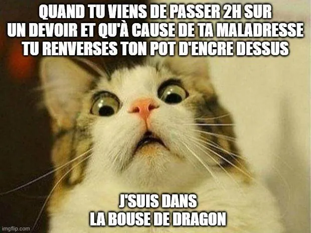 Image postée par le membre