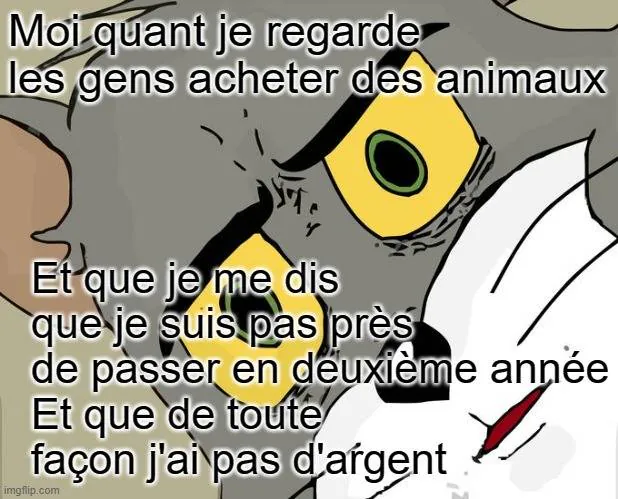 Image postée par le membre