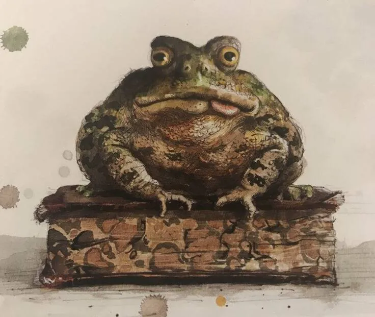 Image postée par le membre