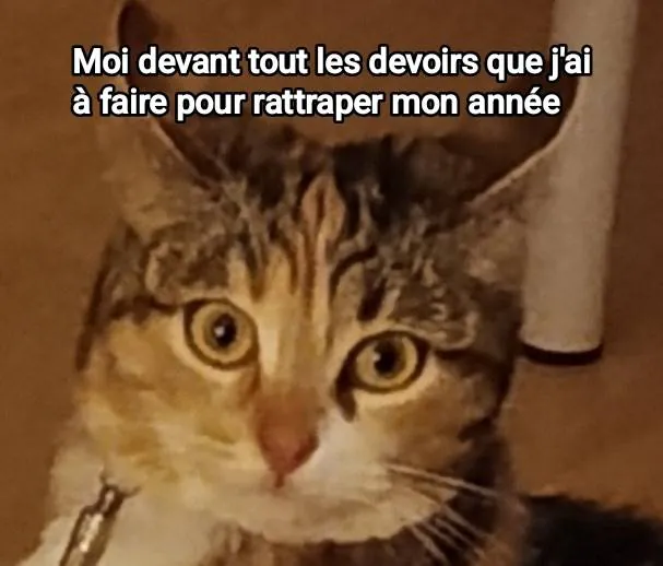 Image postée par le membre