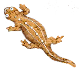 Image postée par le membre
