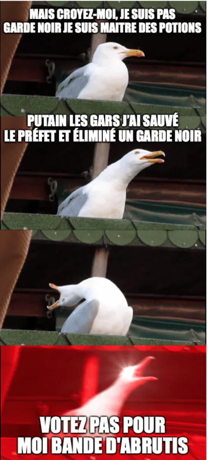 Image postée par le membre