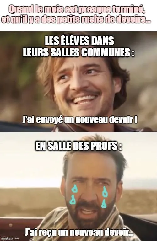 Image postée par le membre