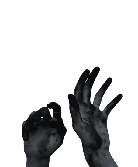 Image postée par le membre