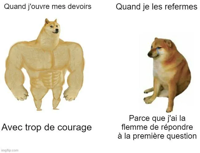 Image postée par le membre