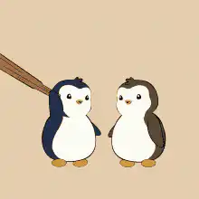 Image postée par le membre
