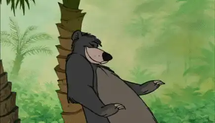 Image postée par le membre