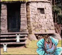 Image postée par le membre