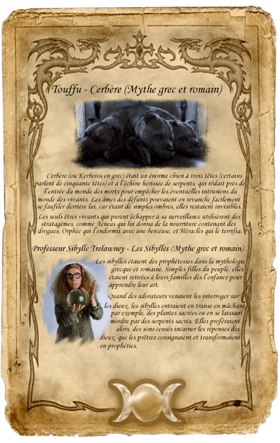Image postée par le membre