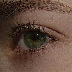 Image postée par le membre