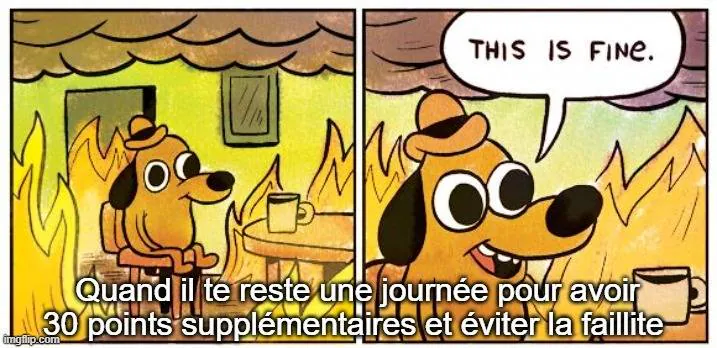 Image postée par le membre