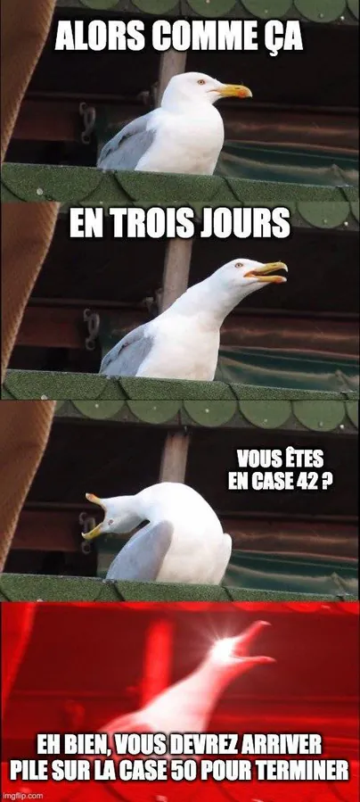 Image postée par le membre
