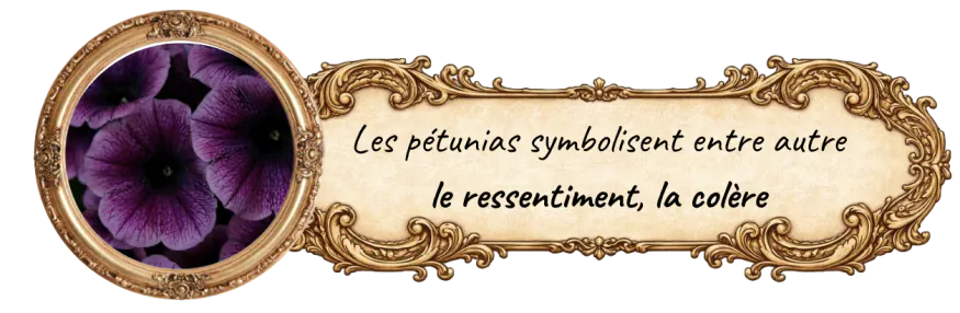Image postée par le membre
