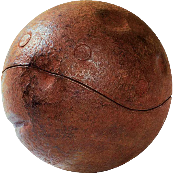 Image postée par le membre