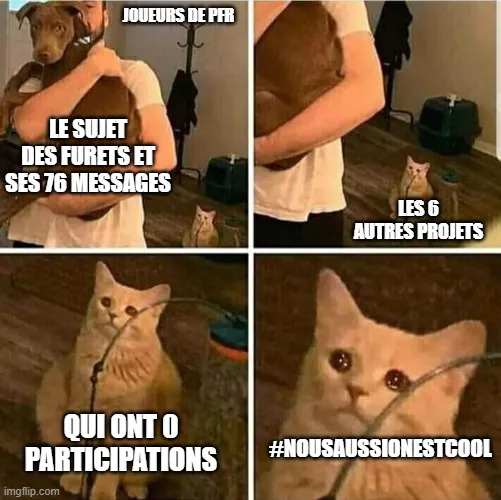 Un meme qui parle d'un sujet recevant beaucoup de réponses tandis que les autres qui ont été postés sont vides