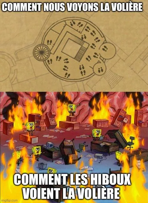 Image postée par le membre