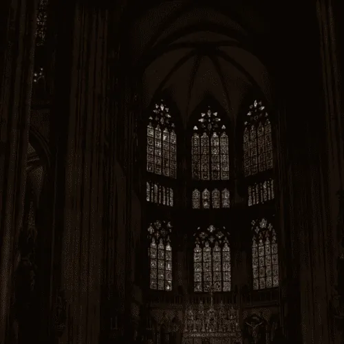 Image postée par le membre