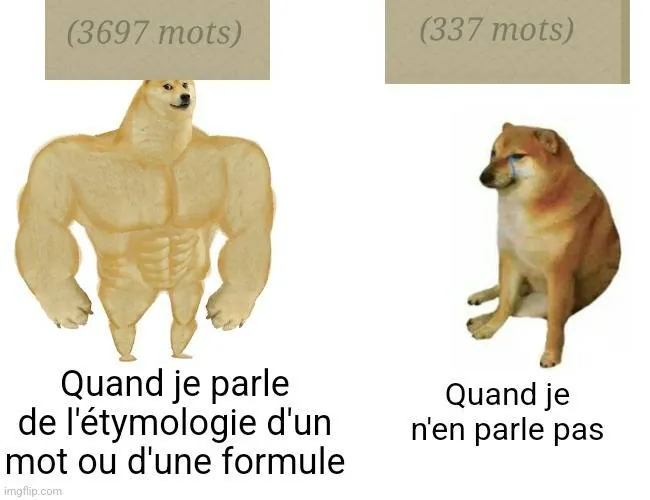 Image postée par le membre