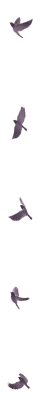 Image postée par le membre