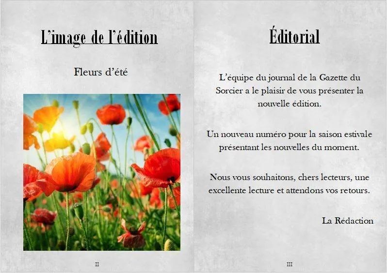 Image postée par le membre